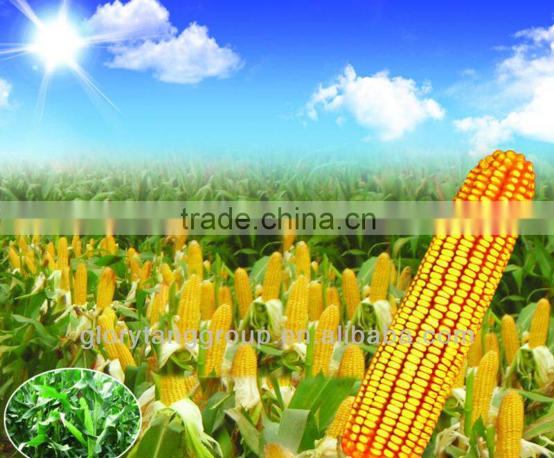 pro-environment biodegradable PLA resin ( Poly Lactic Acid )