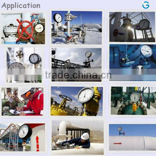 High quality all stainless steel 4000 bar high pressure guages