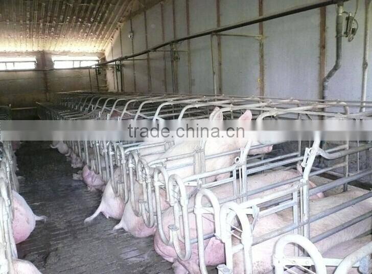 Light steel structure turn-key project chicken poultry farm