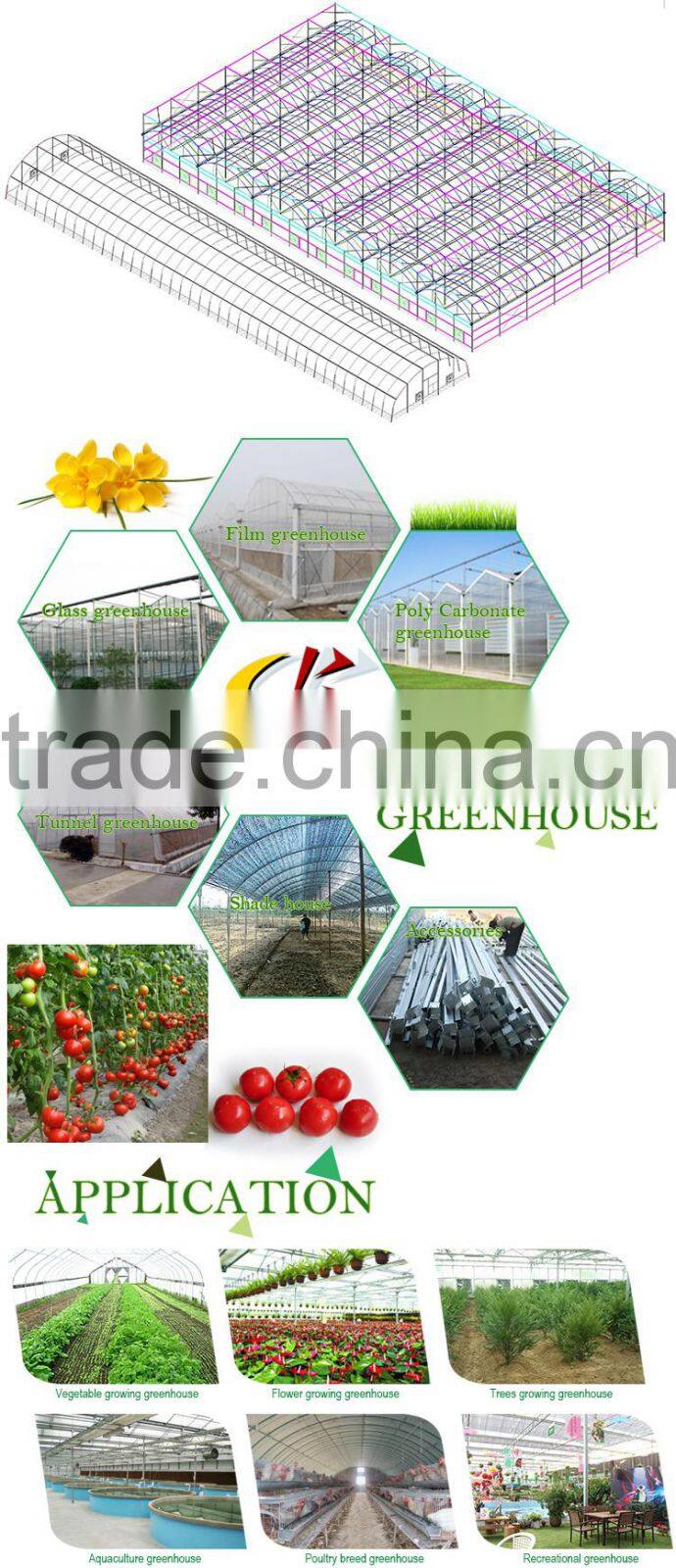 Galvanized steel frame greenhouse for Agriculture