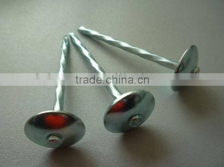 galvanied corrugated roofing nails factory