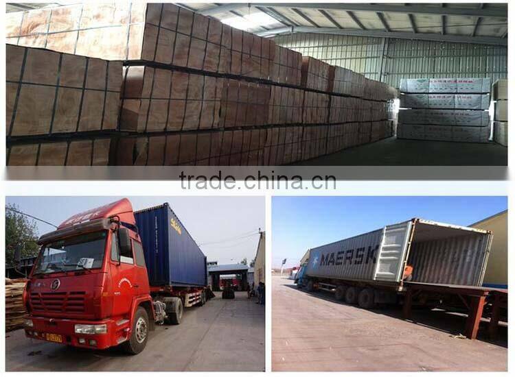 12mm Film Faced Plywood Price