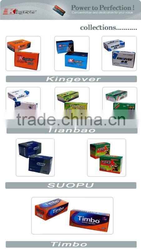 9V Zinc Carbon Battery