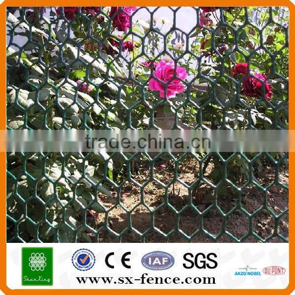 Galvanizedpvc coated chicken wire poultry mesh(ISO9001:2008 professional manufacturer)