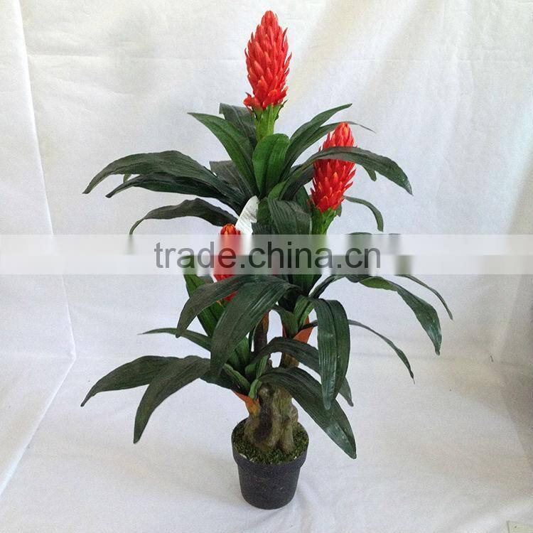 flowering decorative indoor trees