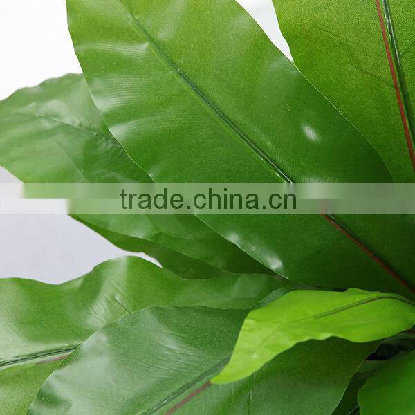 Artificial Birds nest fern