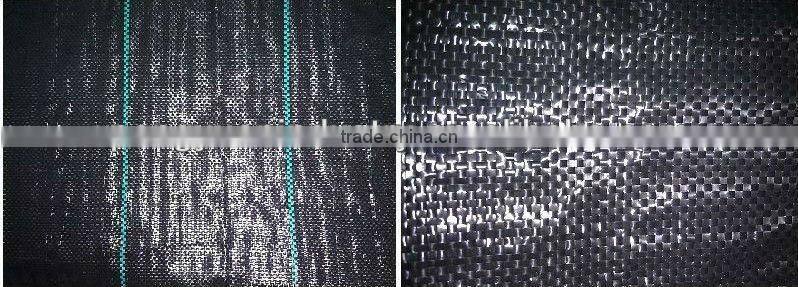 PP woven weed mat/ground cover /black fabric for agriculture
