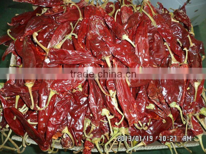 AMERICAN RED CHILI with stem