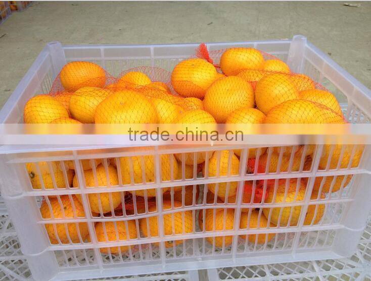 citrus fruit bulk oranges safety net