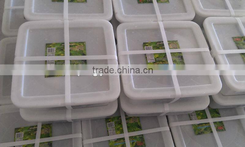 rozen wakame seaweed salad for sushi