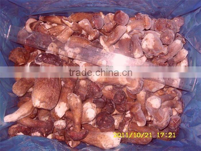 IQF boletus edulis