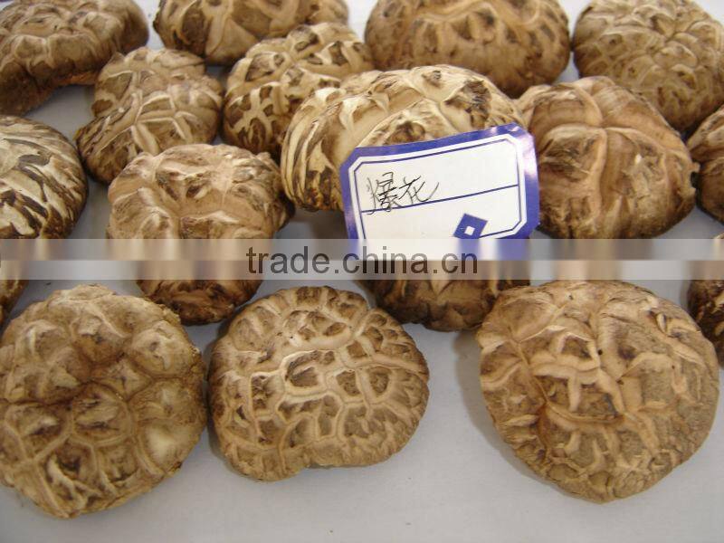 Chinese Cheap Dried Flower Mushroom