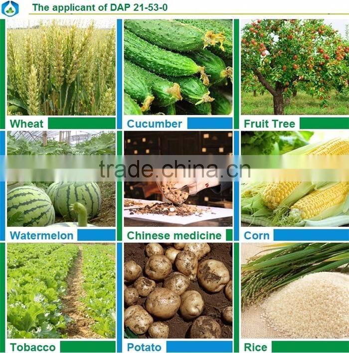 important fertilizer diammonium phosphate DAP (CAS.NO 7783-28-0)