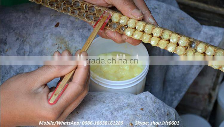 Competitive Price Fresh Organic Royal Jelly 10-hda 1.8%