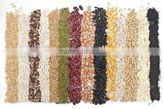 ice sugar grinder/salt grinder/salt grinding machine