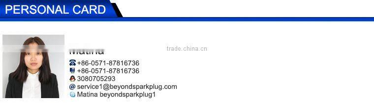 Bosch iridium spark plug EIX-CR9 match with NGK CR9EIX, Denso IU27