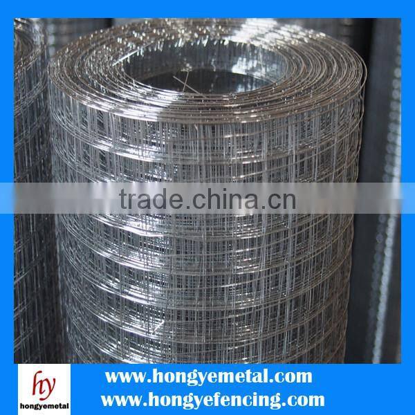 2x2 Galvanized Welded Wire Mesh In Roll Or Panel
