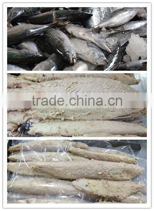 China manufacturers supply frozen food tuna loin