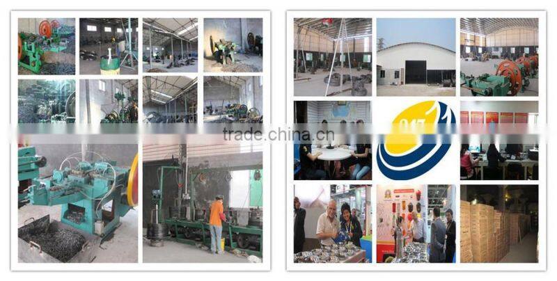 Polished Lead Head Nails with Factory Price