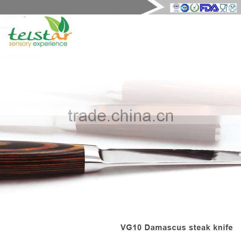 Japanese VG-10 67 Layers Damascus Premium Steak knife 4.5-inch with Gift Box