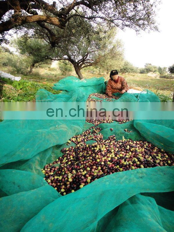 100% virgin HDPE falling fruits harvest net/breaking resistance olive falling collection net/chestnuts picking
