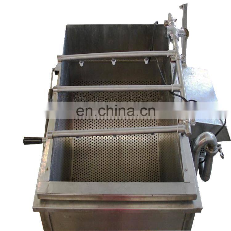 Apple Stainless Steel Automatic Fruit and Vegetable Washing Machine