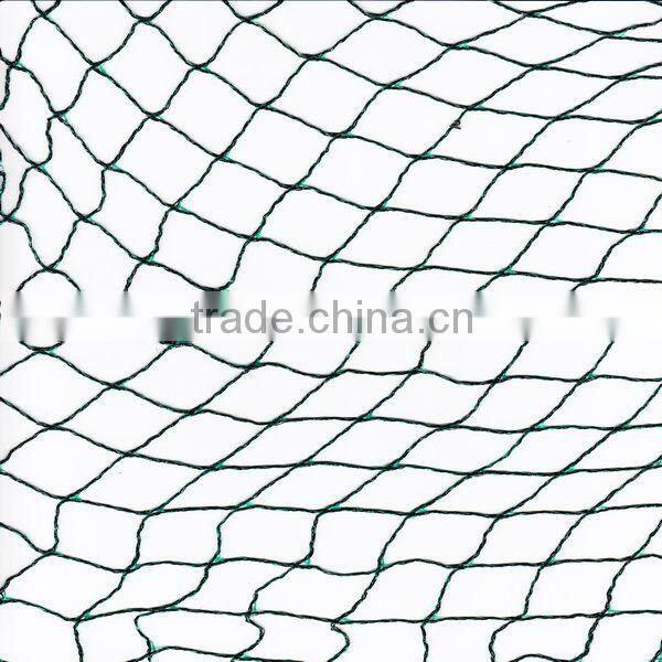 hot sale to european 100% hdpe anti bird mesh