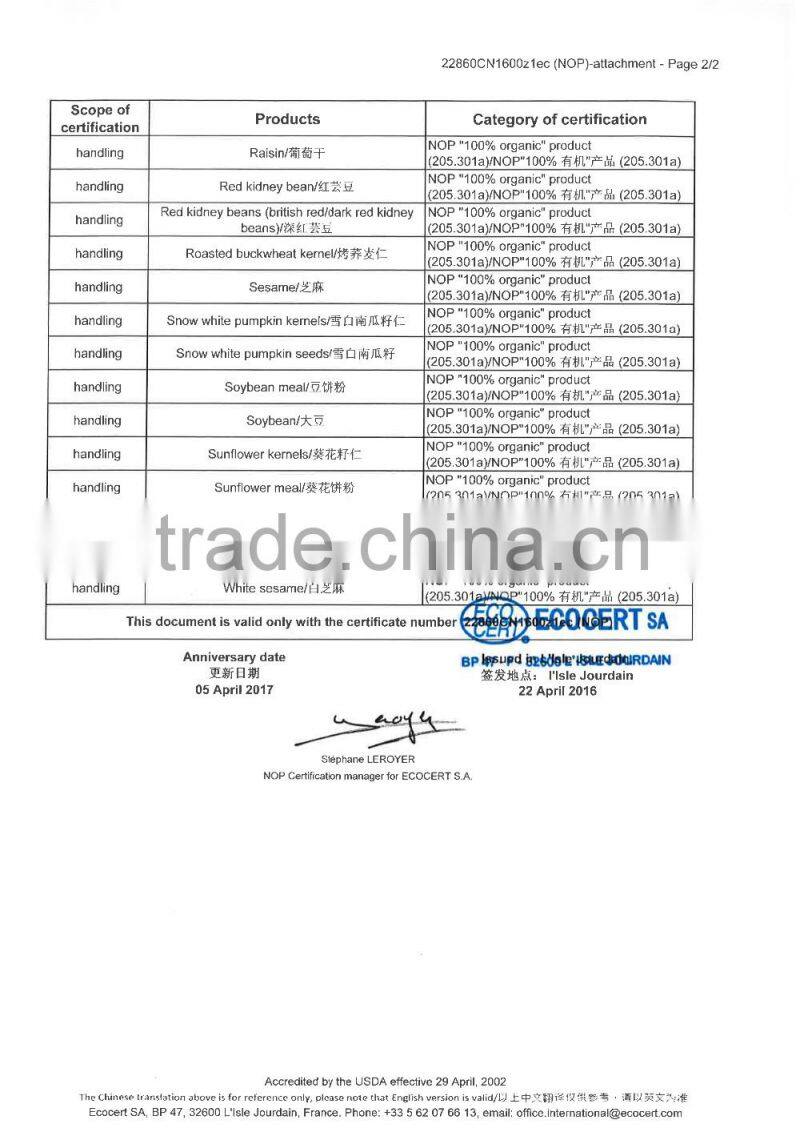 New crop Chinese sunflower seed kernel for export