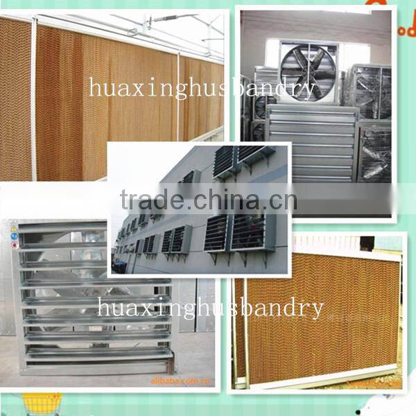 Best selling hen house design with full automatic system