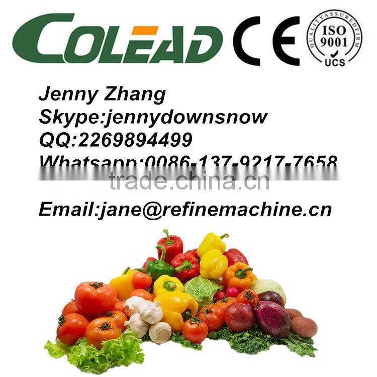 strawberry processing line/hot sale strawberry machine strawberry canned fruit machine