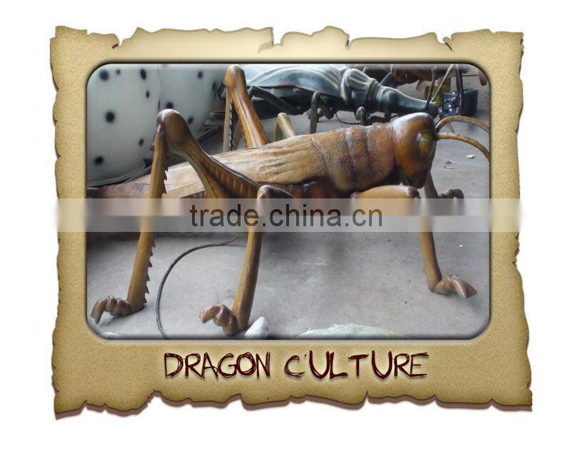 Insect Model Beatles for Sale