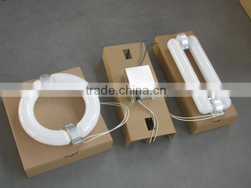 induction light for grow lighting
