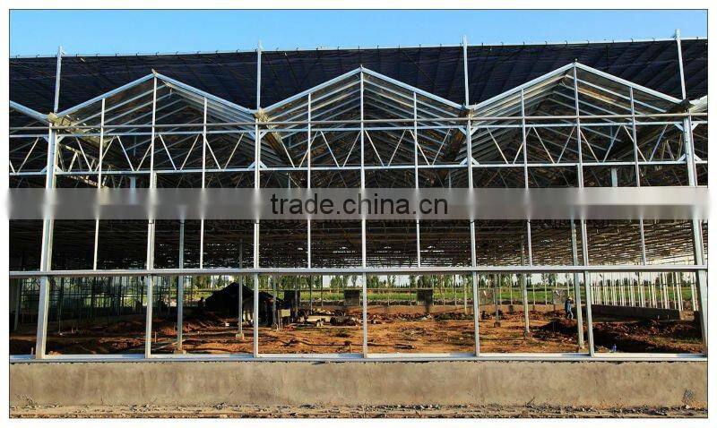 Large Span Glass Multi-span Greenhouse