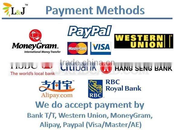 Mobile Credit card reader for iPhone