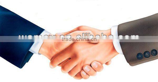 OEM PVC sexy anime girl dolls