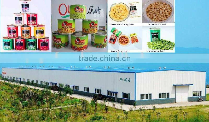 Normal Lids Canned Food Red Kidney Beans in tins