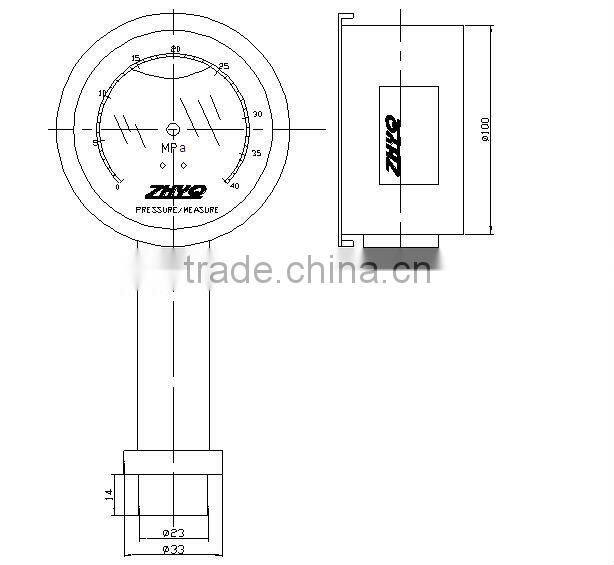 Diaphragm stainless steel pressure gauge with plate