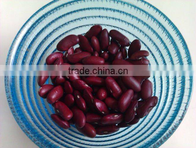 2010 Crop Red Kidney Bean( British type, heilongjiang origin.hps)
