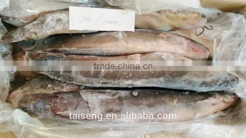 High Quality Seafood Product Natural Whole Frozen Catfish