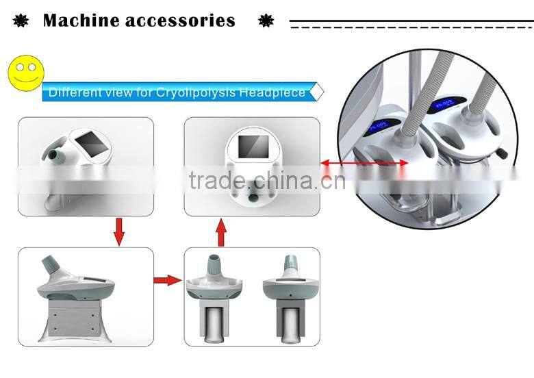 Cryolipolysis/Cryolipolysis Fat Freeze Slimming machine/cryolipolysis weight loss machine
