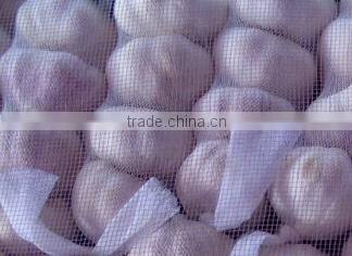 Vietnam Fresh Garlic