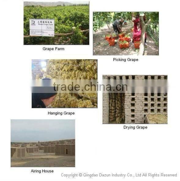 Chinese Green Raisin