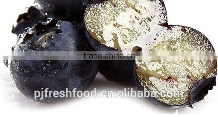 2015 IQF Frozen Blueberry Frozen Fruit Supplier