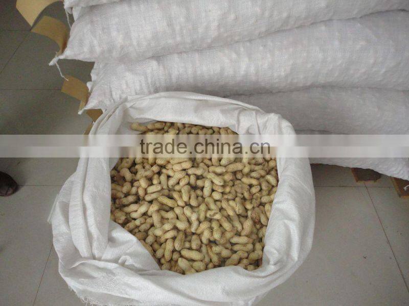 Chinese peanut kernels(virgina type)
