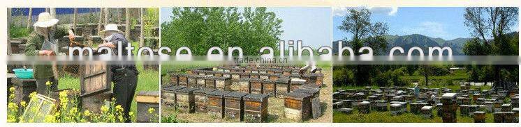 high quality natural acacia honey for beauty