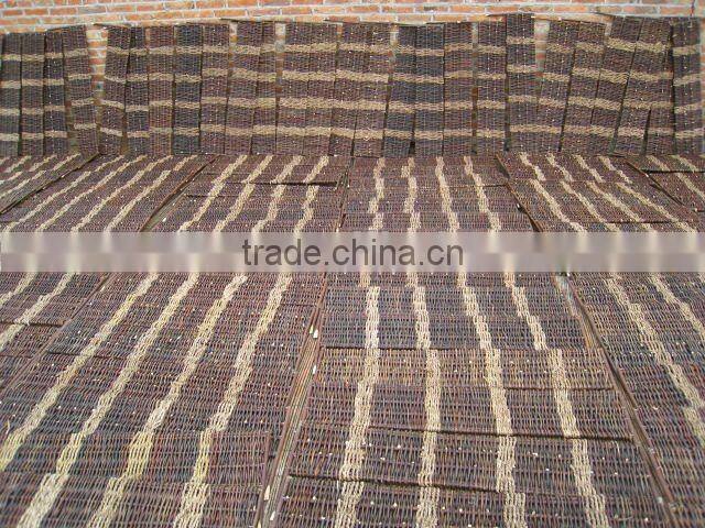 willow border
