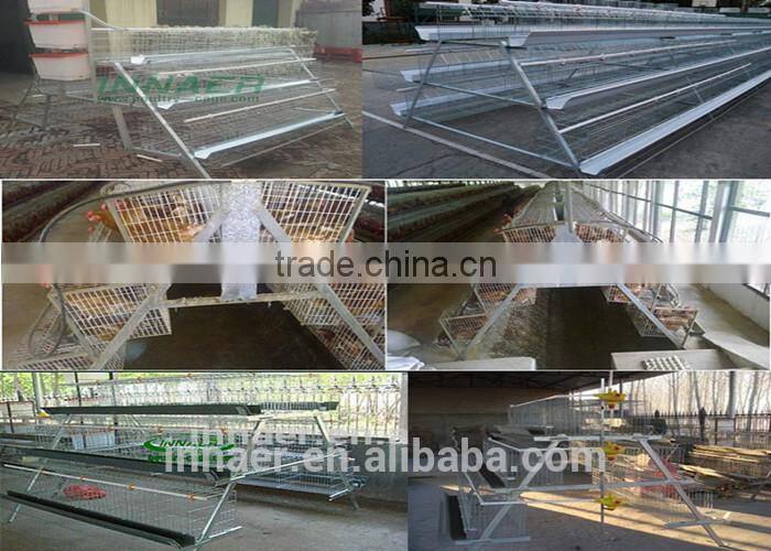 3 tiers galvanized Poultry cage for Nigeria/Tanzania poultry farm