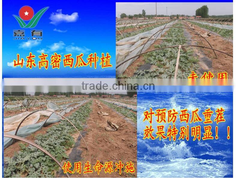 Fulvic acid calcium magnesium fertilizer, Suitable for Fruit Tree,Melon and fruit,Leaf vegetables