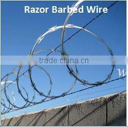 High Quality Used In Singapore Hot Dipped Galvanized Barbed Wire/PVC Coated Barbed Wire(Guangzhou Factory)