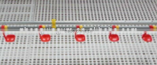 automatic drinking system. nipple drinking system
